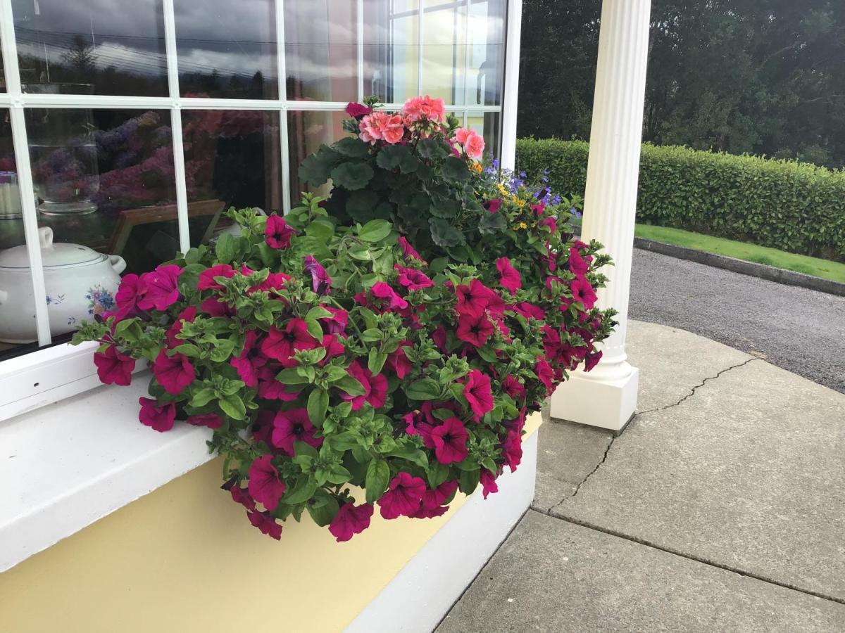 Oakfield Bed and Breakfast Kenmare Εξωτερικό φωτογραφία