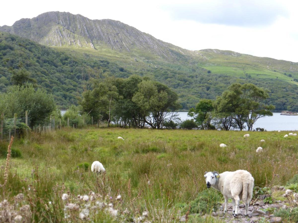 Oakfield Bed and Breakfast Kenmare Εξωτερικό φωτογραφία